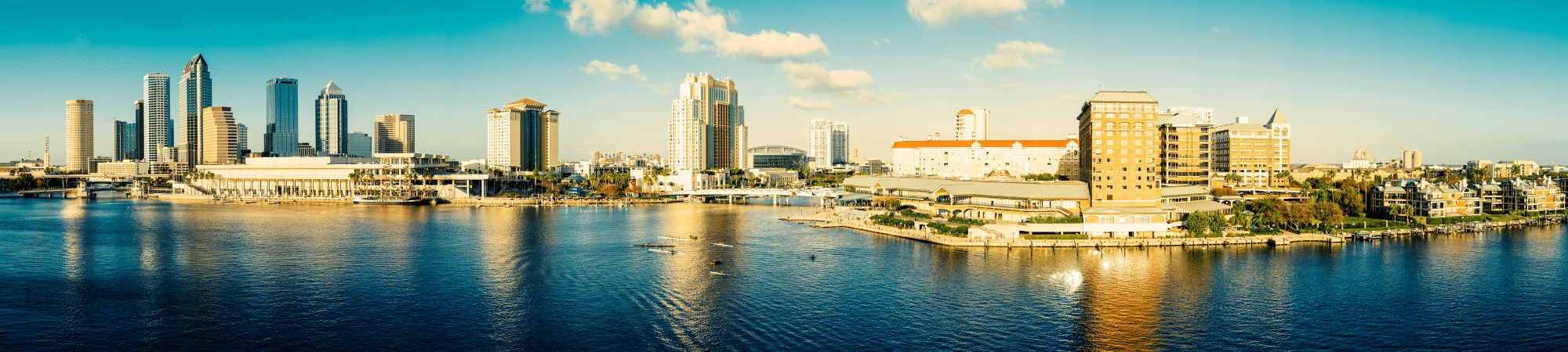 tampa bay skyline